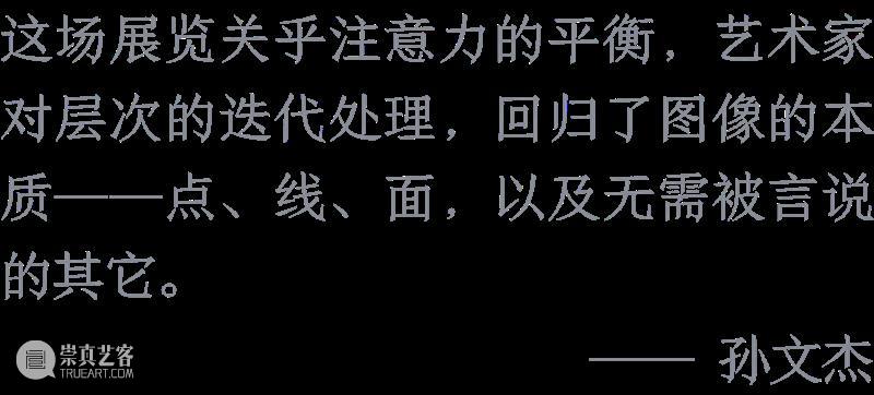 展览|大卫·奥斯特洛夫斯基、张月薇、马西尼萨·塞尔马尼、朱迪·沃森精选媒体报道 北岸馆 崇真艺客