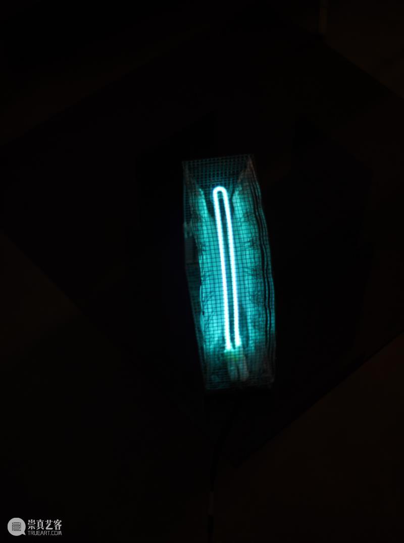 朱东泽_一座可以被居住的“清澈的房子”｜国家美术·关注 崇真艺客