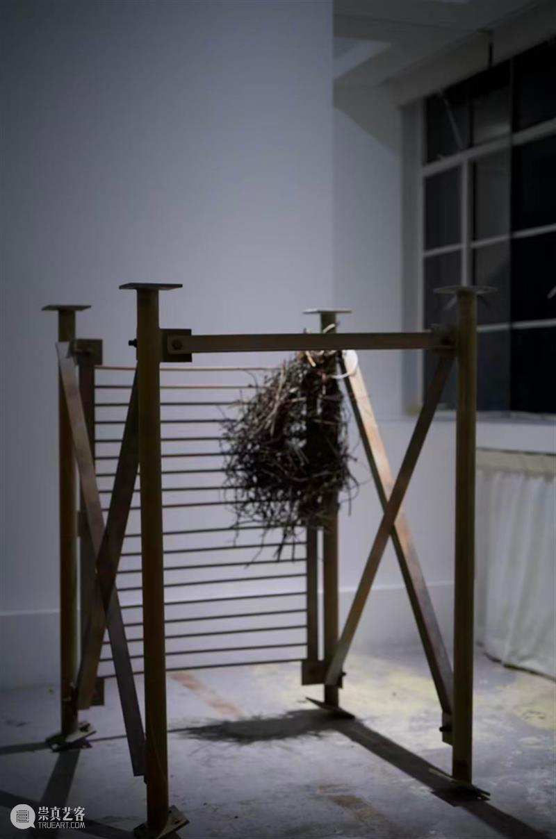 朱东泽_一座可以被居住的“清澈的房子”｜国家美术·关注 崇真艺客