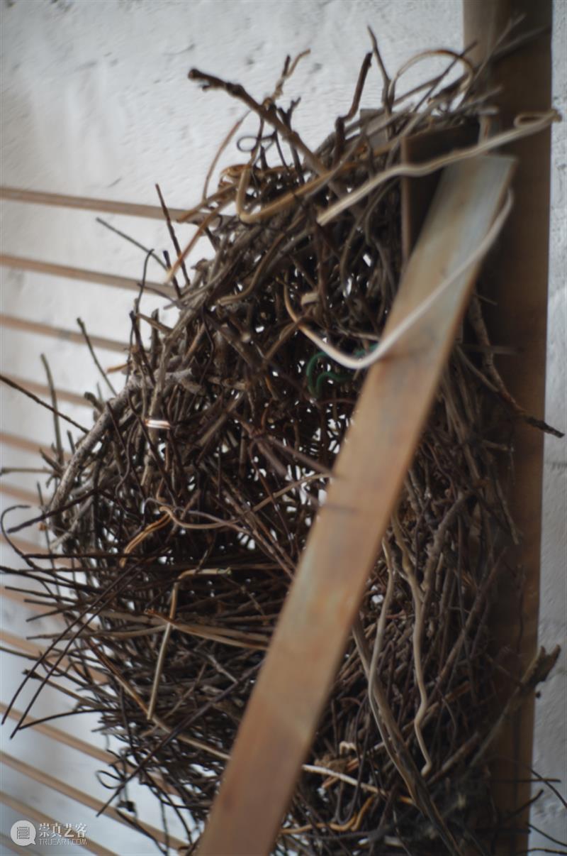 朱东泽_一座可以被居住的“清澈的房子”｜国家美术·关注 崇真艺客