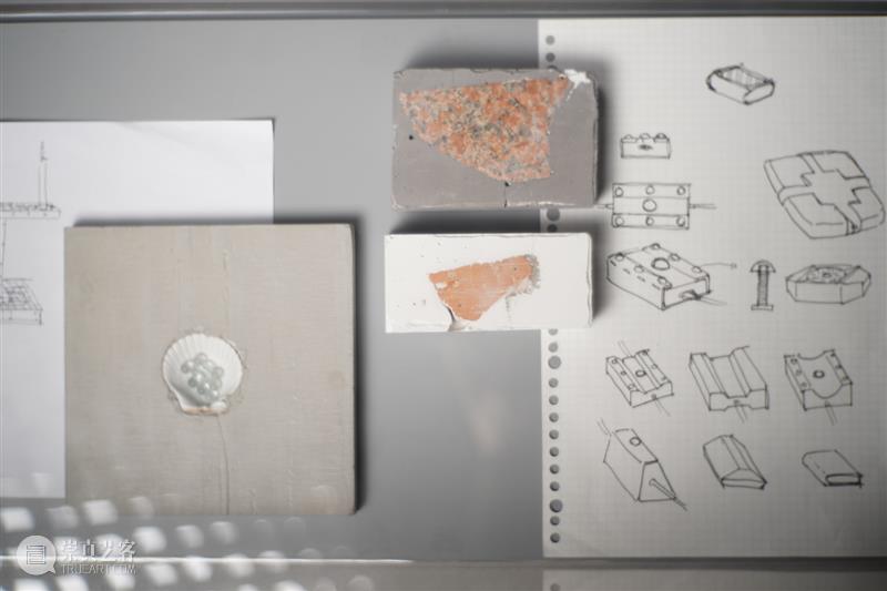 朱东泽_一座可以被居住的“清澈的房子”｜国家美术·关注 崇真艺客