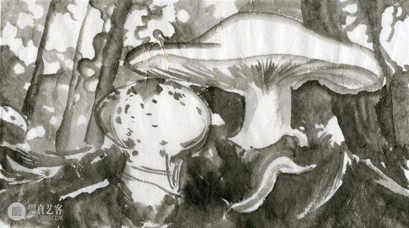 艺术家?|?刘毅跨学科合作新作《松茸为引》 崇真艺客