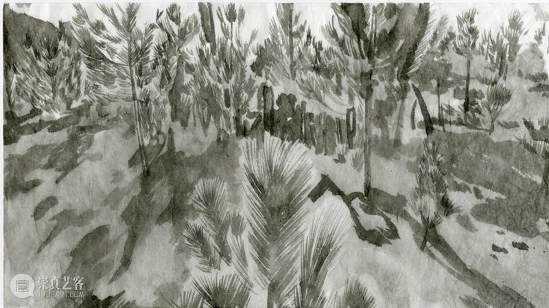 艺术家?|?刘毅跨学科合作新作《松茸为引》 崇真艺客