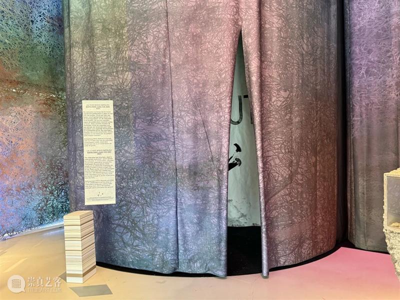 艺术家?|?刘毅跨学科合作新作《松茸为引》 崇真艺客