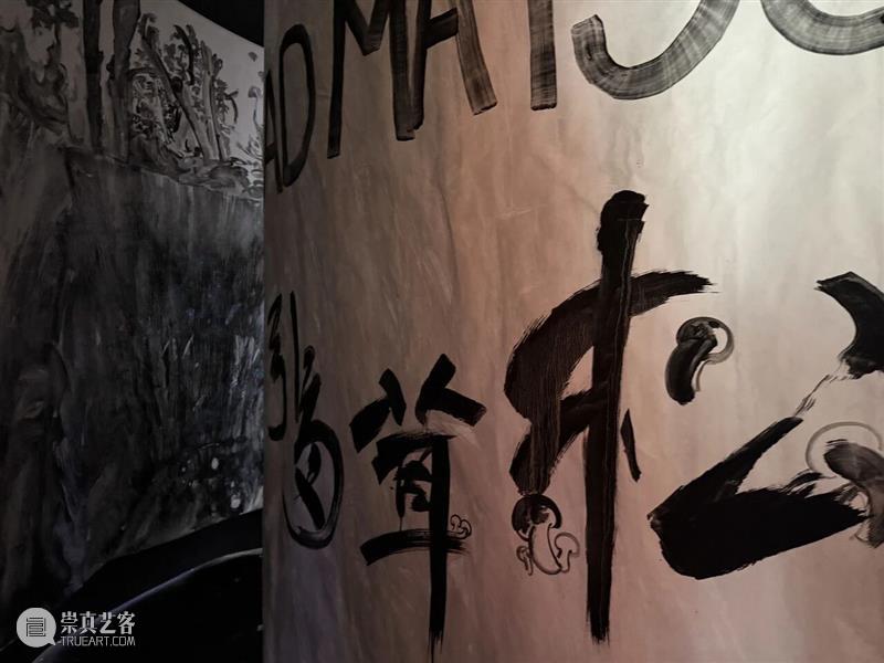 艺术家?|?刘毅跨学科合作新作《松茸为引》 崇真艺客