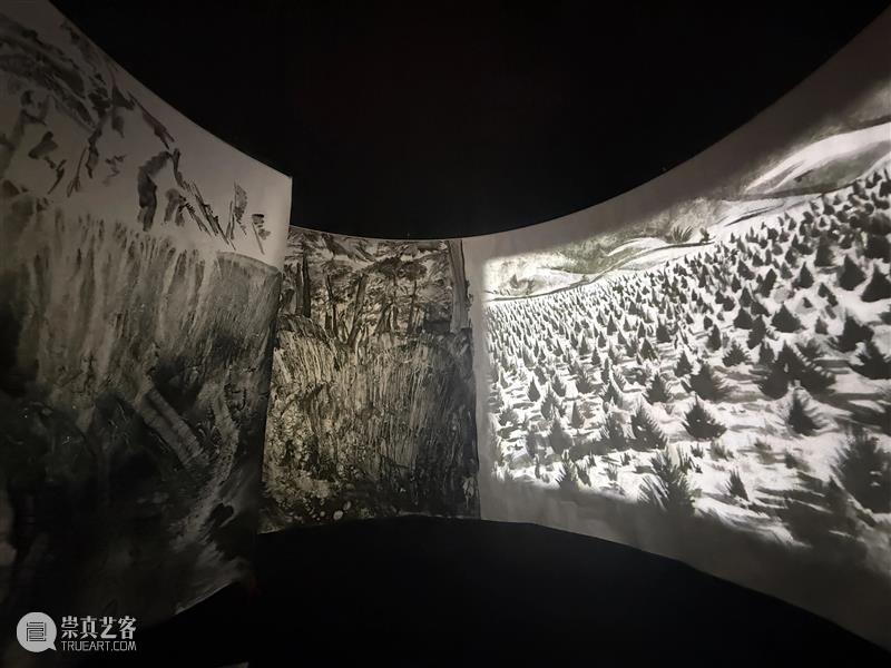 艺术家?|?刘毅跨学科合作新作《松茸为引》 崇真艺客