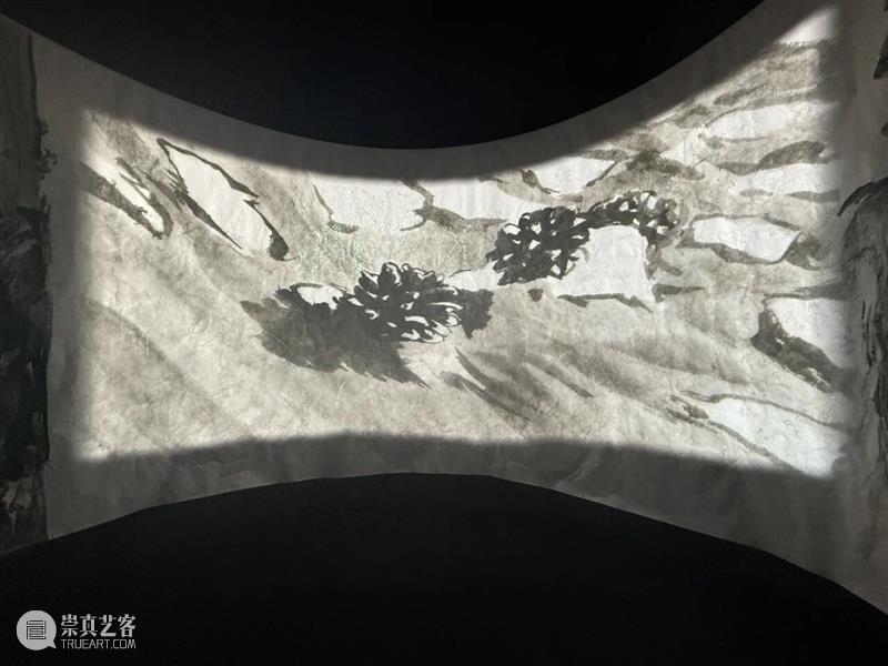 艺术家?|?刘毅跨学科合作新作《松茸为引》 崇真艺客