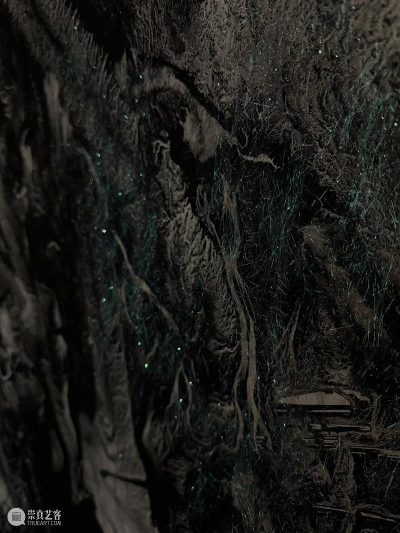 艺术家?|?刘毅跨学科合作新作《松茸为引》 崇真艺客