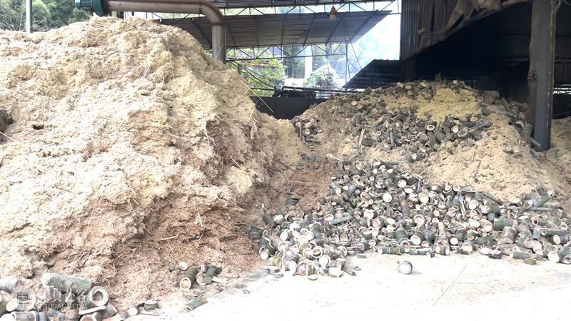 怪东西及舞厅复活计划｜黄译轮值手记 崇真艺客