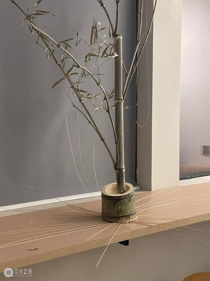 怪东西及舞厅复活计划｜黄译轮值手记 崇真艺客