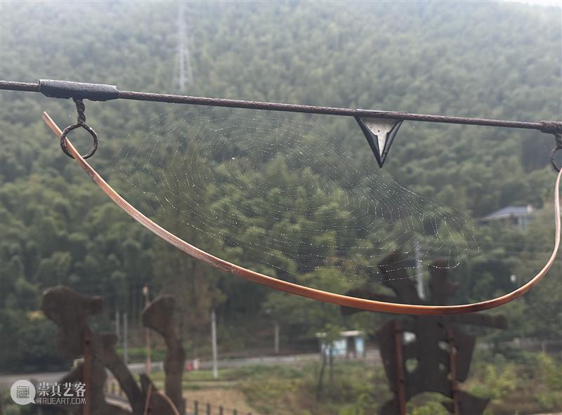 怪东西及舞厅复活计划｜黄译轮值手记 崇真艺客