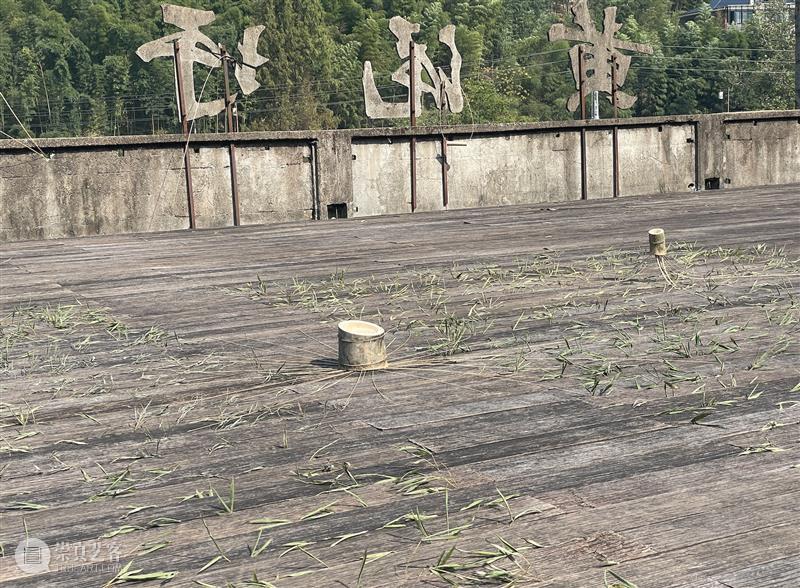 怪东西及舞厅复活计划｜黄译轮值手记 崇真艺客