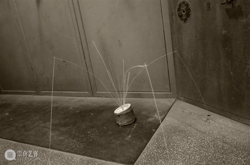 怪东西及舞厅复活计划｜黄译轮值手记 崇真艺客