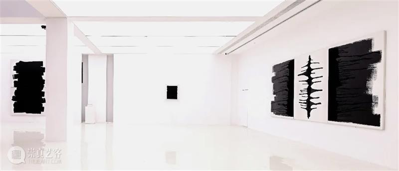 YOUNG展览｜谭大利：隐曜之域 崇真艺客
