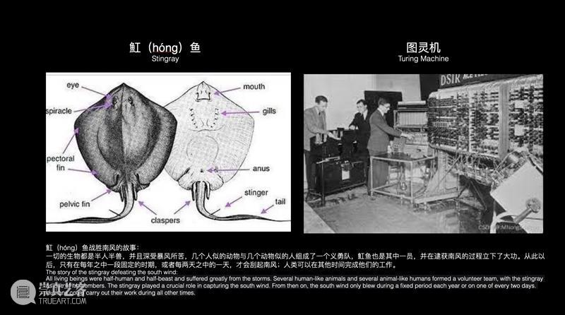 他者的智能：如何从非人类（动物、植物、菌类、AI）的智能中照见人类自身？ 崇真艺客
