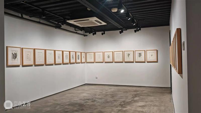 希言·何光个展(三) 崇真艺客