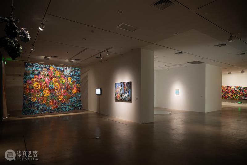 浦东碧云美术馆新展 以“爱”为主题的的公共艺术实践 热点聚焦  浦东碧云美术馆 爱的共生：人与自然的生态对话 崇真艺客