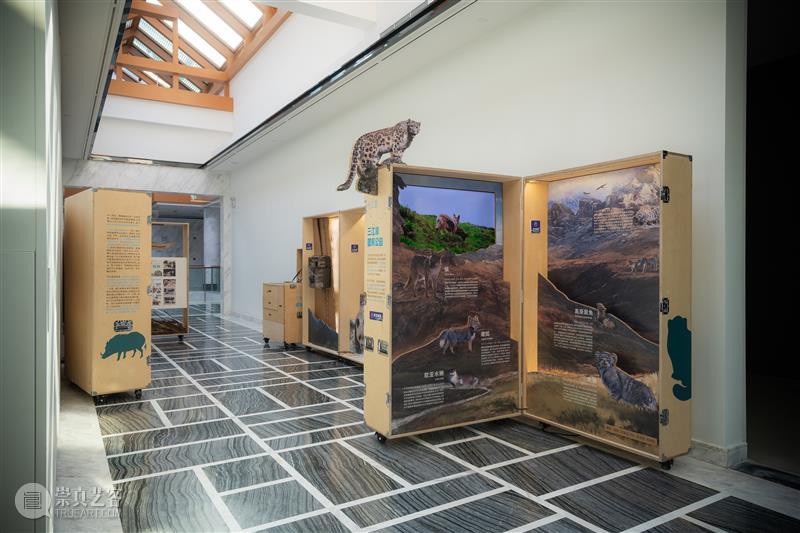 浦东碧云美术馆新展 以“爱”为主题的的公共艺术实践 热点聚焦  浦东碧云美术馆 爱的共生：人与自然的生态对话 崇真艺客