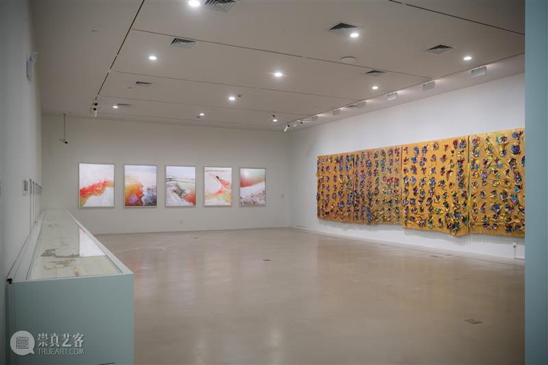 浦东碧云美术馆新展 以“爱”为主题的的公共艺术实践 热点聚焦  浦东碧云美术馆 爱的共生：人与自然的生态对话 崇真艺客