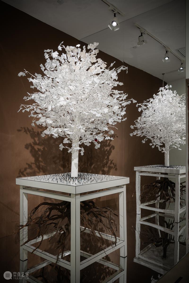 浦东碧云美术馆新展 以“爱”为主题的的公共艺术实践 热点聚焦  浦东碧云美术馆 爱的共生：人与自然的生态对话 崇真艺客