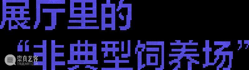 798CUBE交友活动丨朋友,养菌吗? 崇真艺客