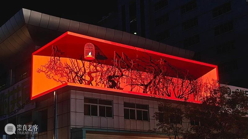 展映预告 | “AI光与AI影”展映即将于金啤坊筒仓森林启幕   崇真艺客