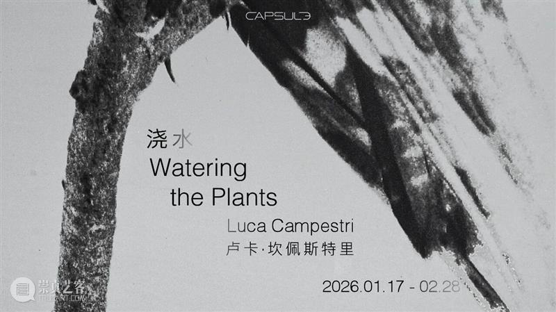 胶囊｜卢卡·坎佩斯特里：浇水 崇真艺客