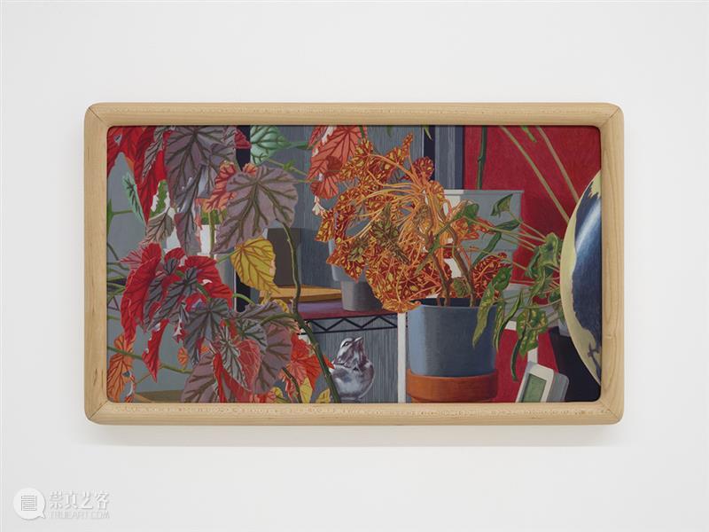 胶囊｜高源：你无法两次踏入同一个房间 崇真艺客