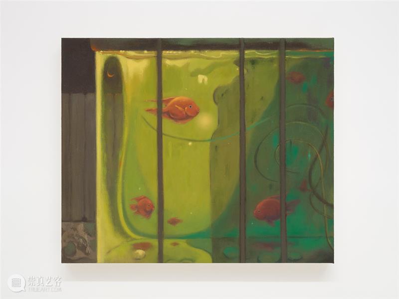 胶囊|郑喆欣:静默的渗透 崇真艺客