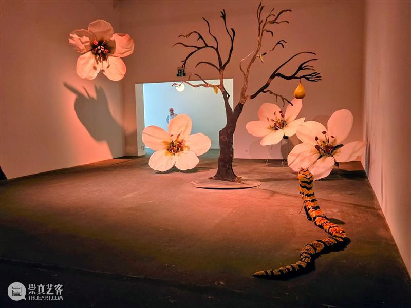 哈利拉伊_自由与身份的梦境|国家美术·关注 崇真艺客