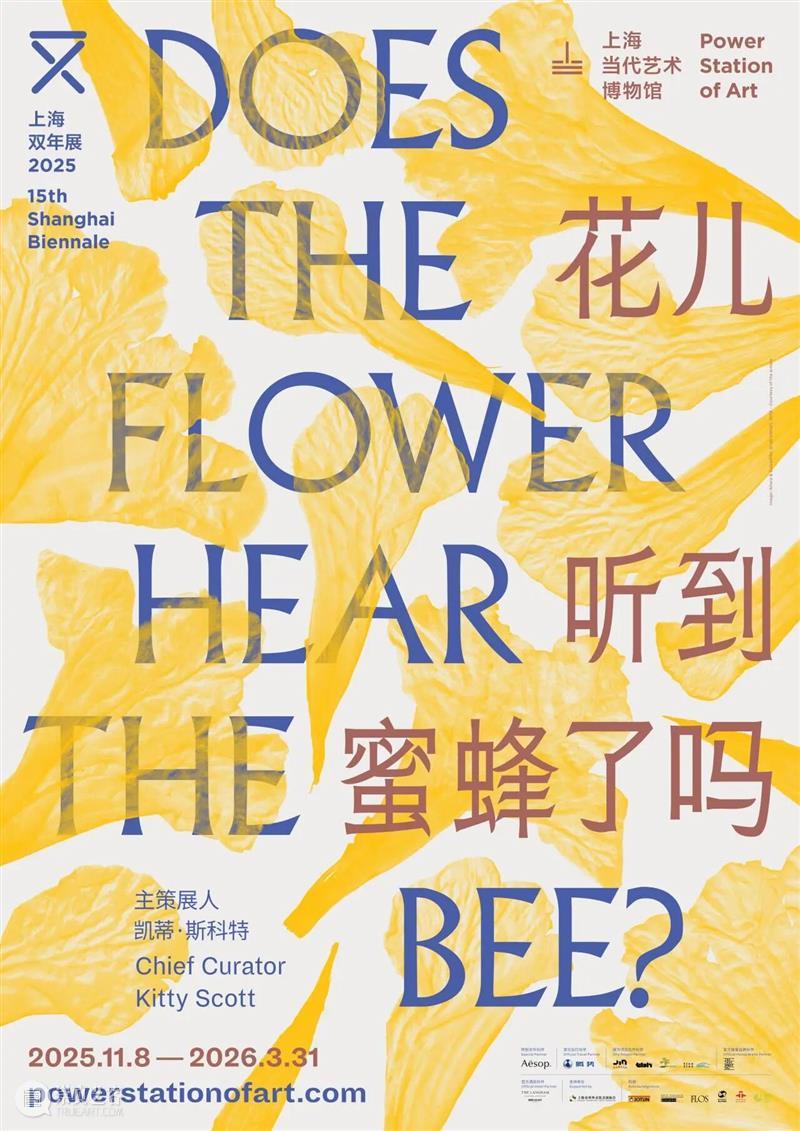 “我只是不希望地球奶奶也中风”｜上双艺术家专访 博文精选  崇真艺客