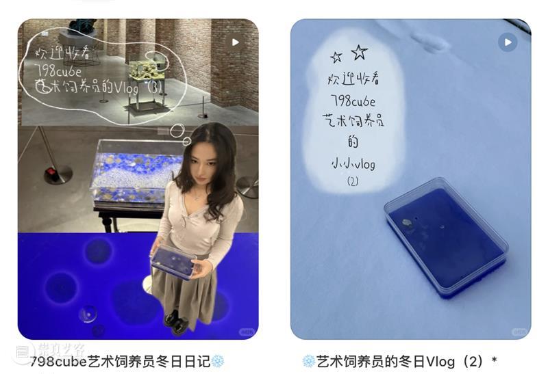 养成系艺术：这届网友，把克莱因蓝“喂”活了  798CUBE 崇真艺客