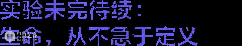 养成系艺术：这届网友，把克莱因蓝“喂”活了  798CUBE 崇真艺客