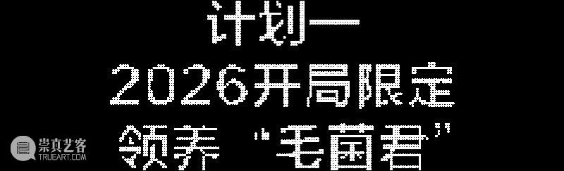 养成系艺术：这届网友，把克莱因蓝“喂”活了  798CUBE 崇真艺客