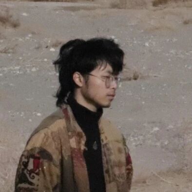 专题丨2025年罗中立奖学金获奖艺术家作品 崇真艺客