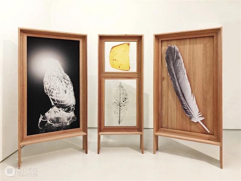 艺博会 | 香格纳画廊参展 S.E.A. Focus 2026 崇真艺客