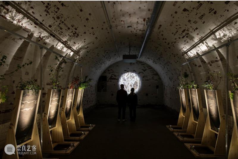 世界是一个“会呼吸的豆荚”——Tania Candiani 博文精选  崇真艺客