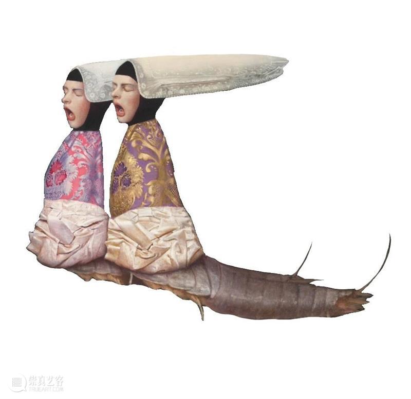 万一对话 | 特奥多拉·阿克森特：无人餐桌上的秘密叙事 崇真艺客