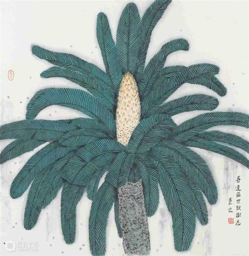 展览预告（东湖馆）| 双面镜——植物的艺术之美与科学之真巡展 崇真艺客