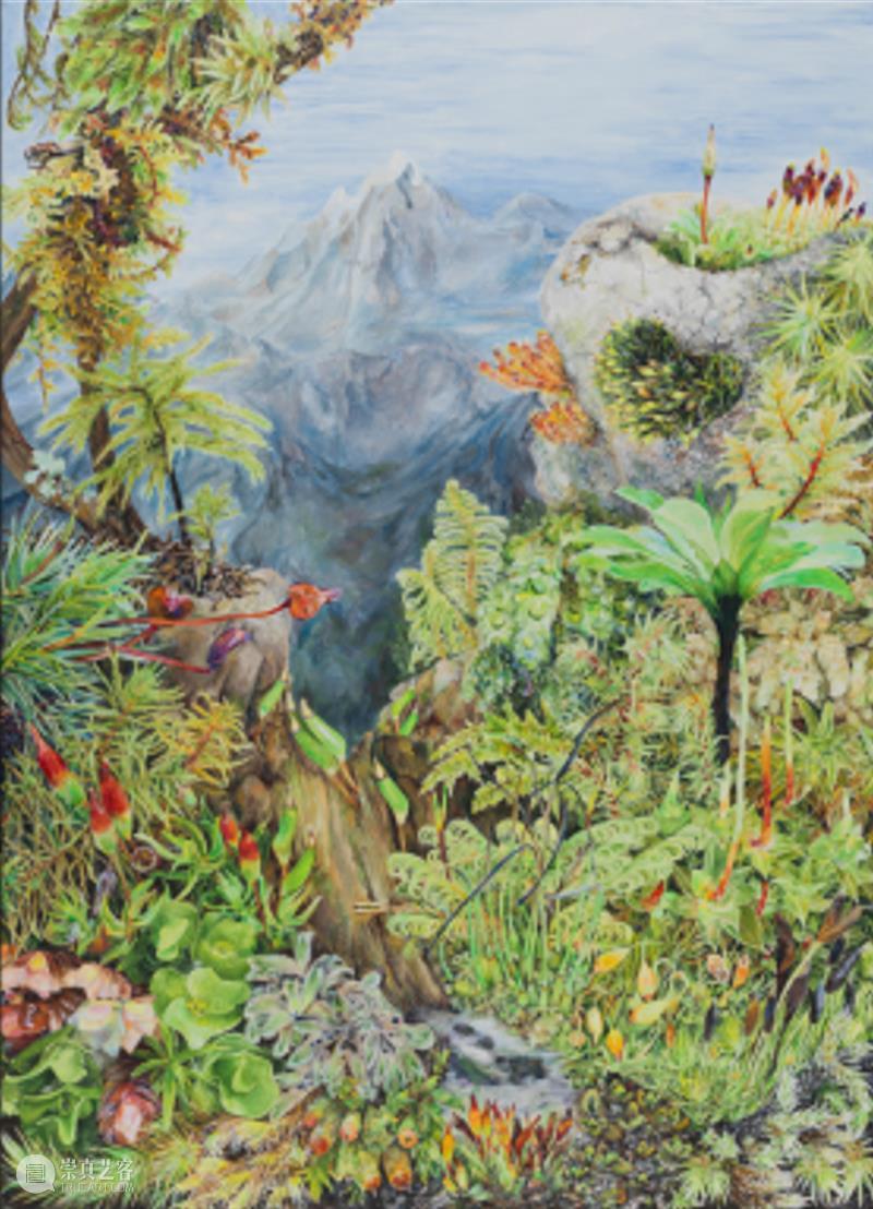 展览预告（东湖馆）| 双面镜——植物的艺术之美与科学之真巡展 崇真艺客