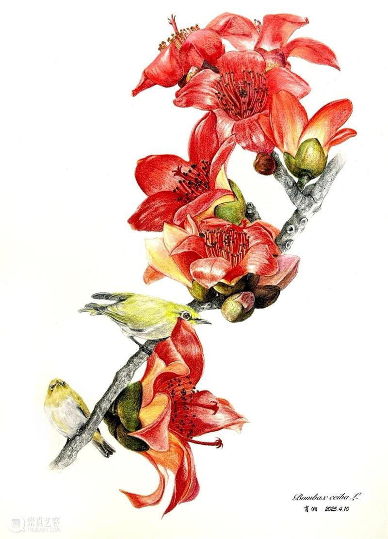 展览预告（东湖馆）| 双面镜——植物的艺术之美与科学之真巡展 崇真艺客