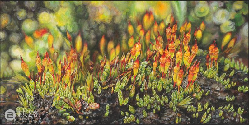 展览预告（东湖馆）| 双面镜——植物的艺术之美与科学之真巡展 崇真艺客