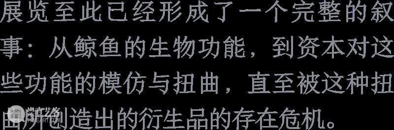 展览｜群展“万物模型” & 佩恩恩个展“步海探渊”精选媒体报道 崇真艺客