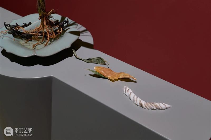 展览｜群展“万物模型” & 佩恩恩个展“步海探渊”精选媒体报道 崇真艺客
