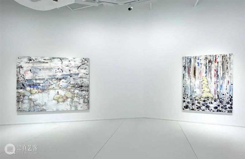 正在进行 In Progress | 隐匿者/波光、斑点/绿—李继开个展 崇真艺客