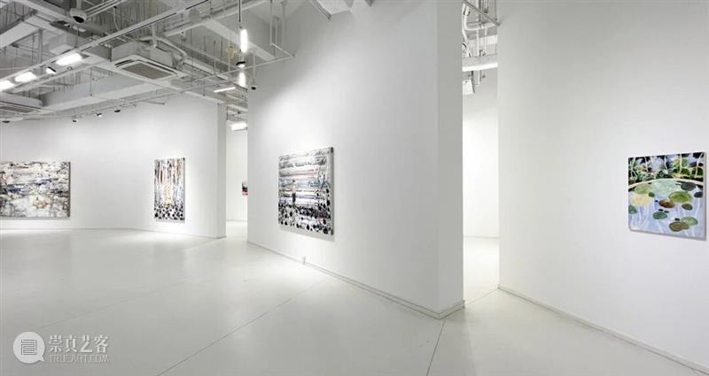 正在进行 In Progress | 隐匿者/波光、斑点/绿—李继开个展 崇真艺客
