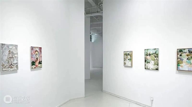 正在进行 In Progress | 隐匿者/波光、斑点/绿—李继开个展 崇真艺客