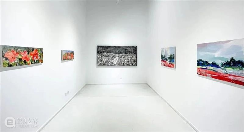 正在进行 In Progress | 隐匿者/波光、斑点/绿—李继开个展 崇真艺客