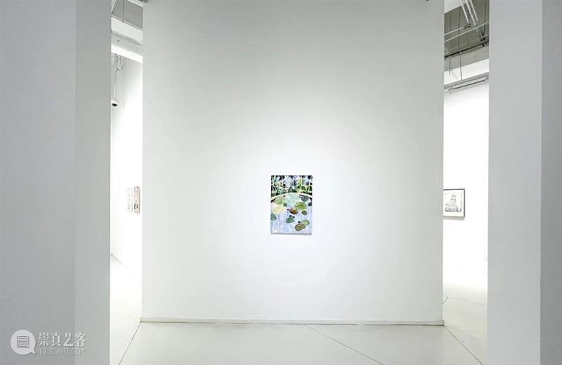 正在进行 In Progress | 隐匿者/波光、斑点/绿—李继开个展 崇真艺客