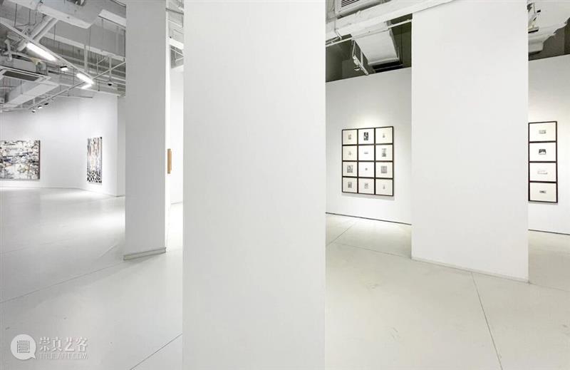 正在进行 In Progress | 隐匿者/波光、斑点/绿—李继开个展 崇真艺客